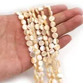 Close-up of flat round natural seashell beads with soft iridescent luster for DIY jewelry - Mini / Trochus Shell