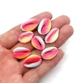 Macro shot of colorful gradient resin spiral seashell beads held in hand for DIY jewelry - Size 9