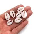 Natural cowrie shell beads for DIY jewelry making shown in hand for size scale - Off White