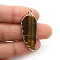 Macro d'un pendentif en pierre d'oeil de tigre en forme de plume avec bordure argentée - Œil de tigre
