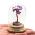 Miniature amethyst crystal money tree with copper wire and glass dome on a wooden base - Purple Crystal