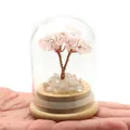 Detalle de un mini árbol de cristal de cuarzo rosa en cúpula de vidrio en la mano - Cuarzo Rosa + Cristal de Roca