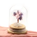 Detalle de un árbol de la fortuna de cristal púrpura en cúpula de vidrio en la mano - Amatista y Cuarzo Rosa