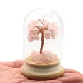 Pink natural crystal money tree in glass dome on a wooden base held in hand - Rose Quartz