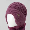 Deep purple winter knit ear-flap hat and plush-lined neck gaiter for elderly women - Dusty Purple (Hat Only)