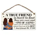 Rustikales Holzschild zum Aufhängen mit Freundschaftsillustration und inspirierendem Spruch - Qt1416