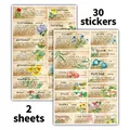 Vintage botanical stickers with 30 pieces of floral and garden dictionary themes - Vintage Botanical Encyclopedia Style (QT1461)