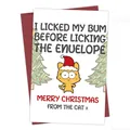 Creative Christmas card with funny orange cat illustration and red envelope set - Funny Orange Cartoon Cat Style (QT1092)