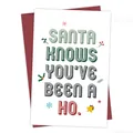 Funny Christmas greeting card set with red envelope and retro Santa typography - Santa Knows Humorous Card(QT1097-15)