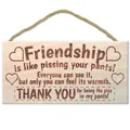 Close-up of wooden wall decor sign with heart pattern and funny kitchen quote - Friendship Quote Style (QT800-3)