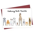 Detailed view of dog butt illustration birthday card with red envelope and pun text - Funny Dog Butt Style (QT819-7)