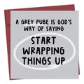 Funny greeting card with humorous text and a deep red envelope for birthday gifts - Grey Funny Text Style (QT884-3)