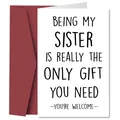 Funny sister birthday card with envelope featuring humorous quote on minimalist white paper - Funny Sister Gift Style (QT885-6)