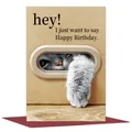 Carte d'anniversaire créative avec motif chat et enveloppe rouge pour voeux - Motif de Chat (QT1219)