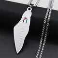 Stainless steel Palestine map pendant necklace with flag detail and engraved lettering - Silver Box Chain 60cm