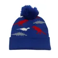 Gros plan détaillé du bonnet en tricot bleu marine avec motifs dinosaures et un grand pompon - Bleu