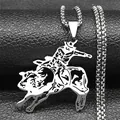 Silver stainless steel bull rider pendant necklace with polished box chain on black base - 60CM / Silver