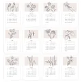 Minimalist 2026 floral calendar cards set with 12 months artistic hand-drawn line art - Minimalist Botanical Floral (QT1665-3)