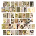 Set of 48 aesthetic wall decor posters featuring vintage photography and warm earthy tones - Multi-pattern Combination