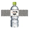 Detalle de etiqueta de botella 2025 Graduate con purpurina dorada y ondas - Estilo Graduado 2025 Chevron Blanco y Negro (QT1268-4)