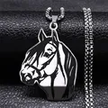 Collar con colgante de cabeza de caballo en acero inoxidable plateado y negro para hombre y mujer - Plateado