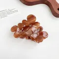 Pince à cheveux élégante en acétate marron caramel avec fleurs et cristaux - Marron