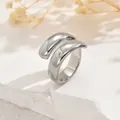 Minimalist silver geometric twisted open ring with a high-polished mirror finish - Silver Double Arc Open Style (JZ1294-4)