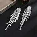 Dettaglio degli orecchini a nappa in argento con scintillanti pietre di zircone - Orecchini a lampadario di lusso con strass argento (D0697) / Argento