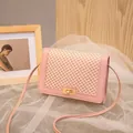 Pink leather small square crossbody bag with beige mesh flap and gold turn-lock closure - Pink