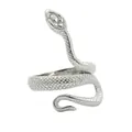 Détail macro d'une bague serpent en acier argenté avec textures d'écailles précises - Argent