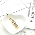 Dettaglio della molletta dorata con stelle a cinque punte su un piatto a cuore bianco - Stile Stella
