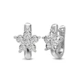 Squisiti orecchini a fiore in argento sterling 925 con zirconi cubici brillanti e lucidi - Argento 925 / Orecchini a Bottone a Fiore (DY110288)