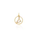 Macro shot of 18K gold plated zodiac pendant with micro-set cubic zirconia crystals - Capricorn