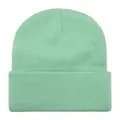 Comfortable mint green solid color knitted beanie hat for warm outdoor winter wear - One Size / Pale Green
