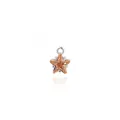 Macro shot of 18K gold-plated star pendant with cubic zirconia and champagne gemstone - Rose Gold