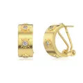 Golden S925 silver hoop earrings with brushed texture and sun-shaped zircon inlay - Gold (DY110369)