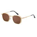 Retro square sunglasses with gold metal frame, brown lenses and black temple tips - Matte Gold Brown (C4)