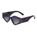 Fashionable dark brown geometric sunglasses with wide temples and gradient lenses - Transparent Dark Brown Grey