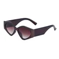 Trendy geometric sunglasses with brown transparent resin frames and gradient lenses - Transparent Dark Brown