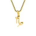Gold 18K plated stainless steel Capricorn zodiac pendant with box chain - Capricorn / Gold