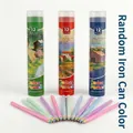 12-color rainbow paper pencils in decorative landscape tin storage cans - Sharpened Rainbow Pencil (With Sharpener Tin)
