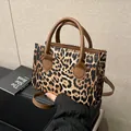 Stylish leopard print crossbody bag with brown circular handles and a rectangular shape - No Pendant / Brown