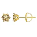 Elegant 18K gold plated S925 silver stud earrings with champagne round cut moissanite - 0.5 Carat x 2 / Gold - Champagne