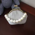 Detailopname van grijze tweed portemonnee met vintage sluiting en parelhandvat - Grijs Met Parelgreep