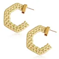 Bohemian C-shaped earrings with natural raffia weave and hammered gold metal finish - Light Hexagonal Style / Light Color