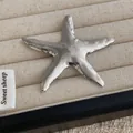 Elegante spilla a stella marina argentata con finitura metallica su espositore beige - Argento (P74)