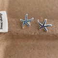 Macro shot of silver starfish stud earrings featuring micro-pave blue cubic zirconia stones - Blue (S-157)