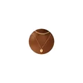 Primer plano del conjunto de collares dorados con colgante de disco de la letra Y - Letra Y