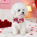 Nahaufnahme der rosa Haustier-Fliege mit Love-Print und Herzanhänger für Valentinstag - Rotes Herz