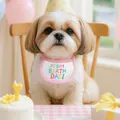 Pink dog birthday bib and yellow polka dot hat set with IT'S MY BIRTHDAY embroidery - Small / Birthday Bib Pink Edge With Hat